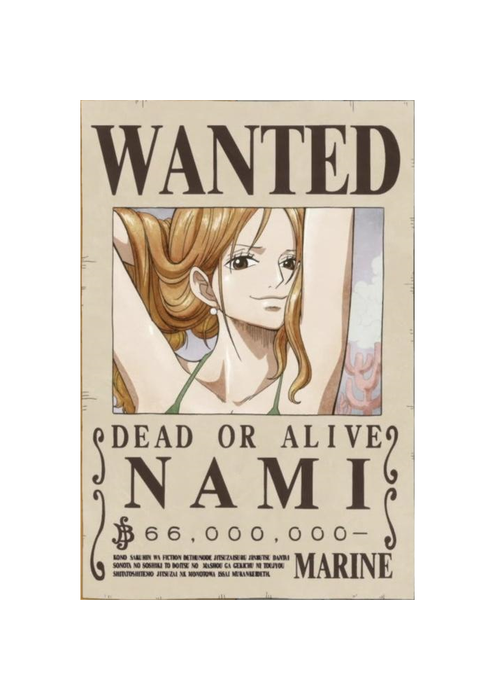 Affiche Nami Dead Or Alive Wanted - Poster ou Cadre