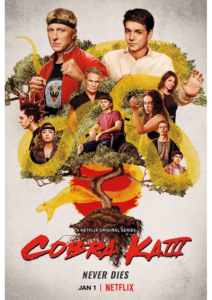 Poster Cobra Kai - Affiche / cadre
